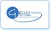 Geiq_100.png